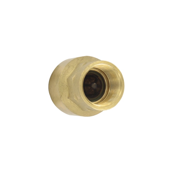 Dwyer Instruments Brass inline check valve, 1/2" connection, 6.0 Cv value, weight 5.1 oz (145 g). BICV-0F02 - main